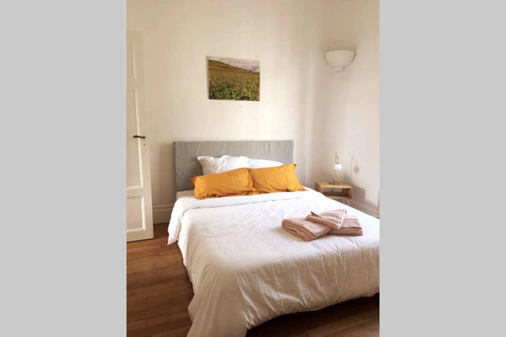 Appartement Cosy Idealement Situe Au Centre Ville Dijon Exterior photo